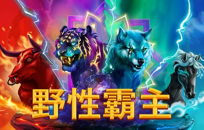 944cc天下彩入口一